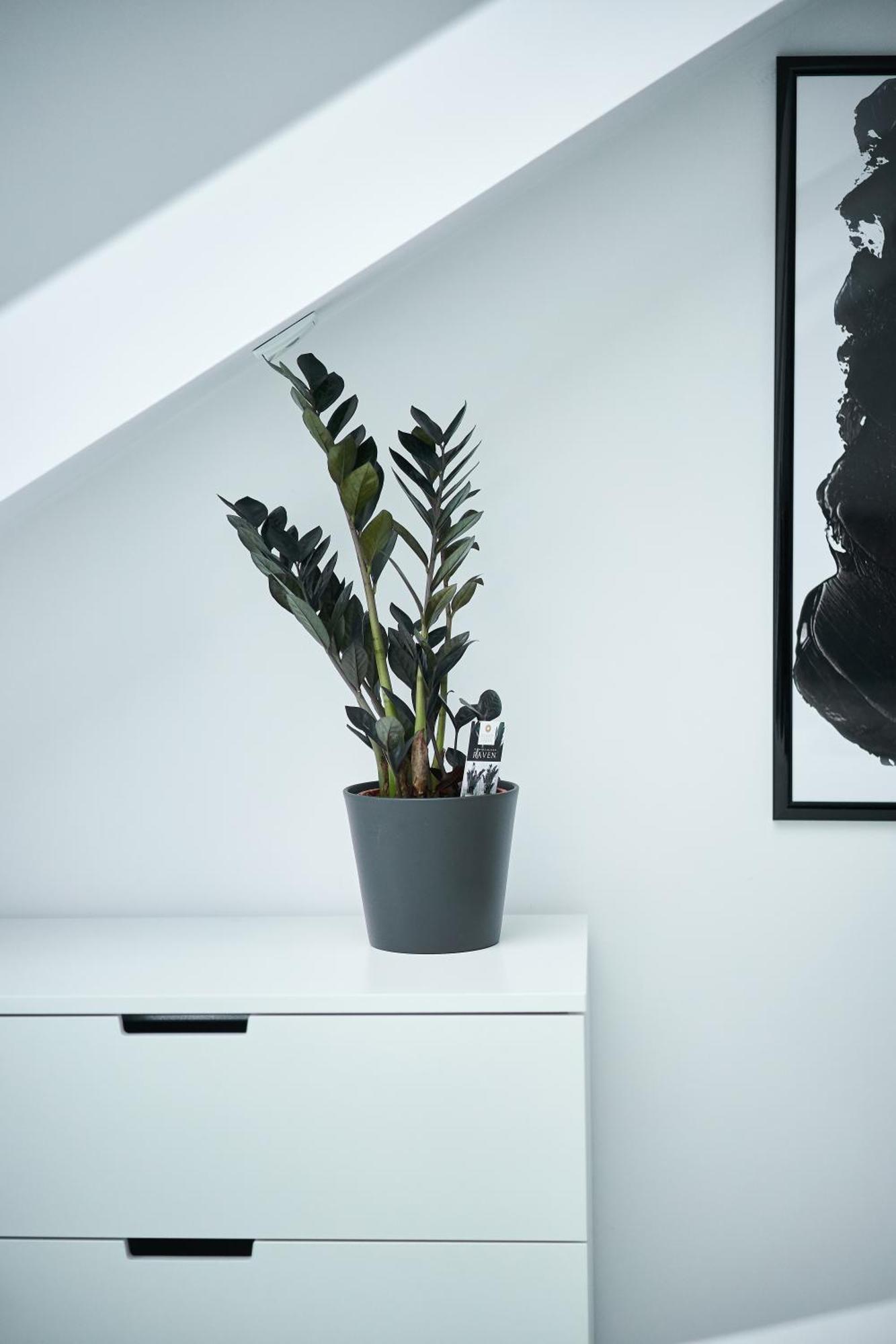 Unique Design Loft In Middle Of Centre Of Old Town With Netflix Apartment Krakow Ngoại thất bức ảnh